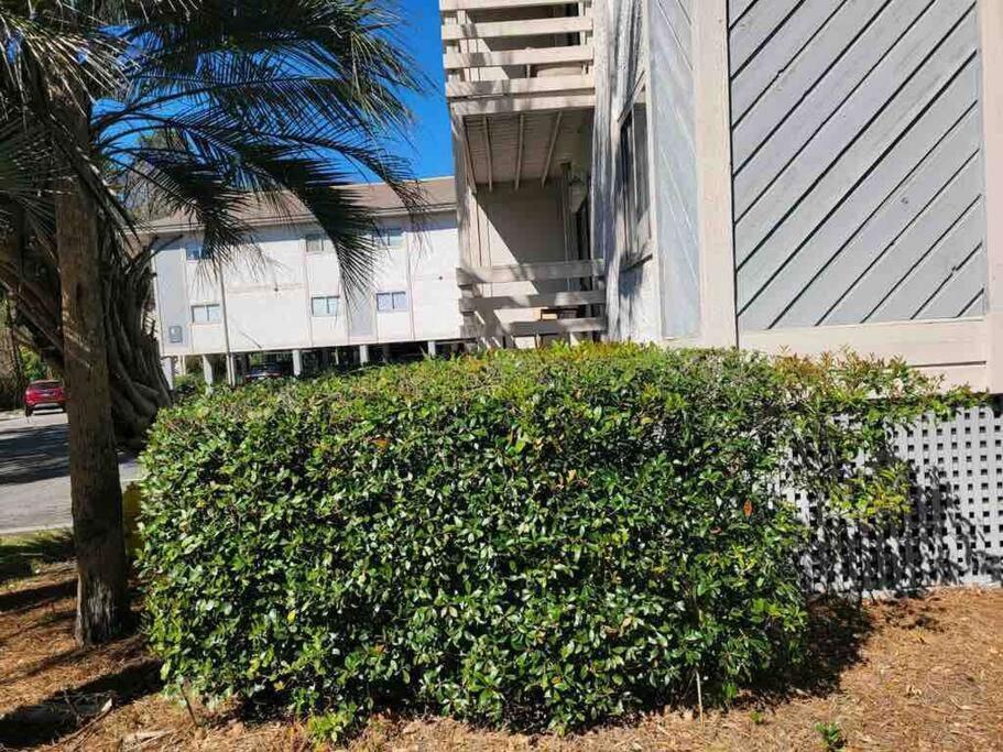 2022 Renovated 2-Bdrm Cozy, Lovely Condo W/Parking! 希爾頓黑德島 外观 照片